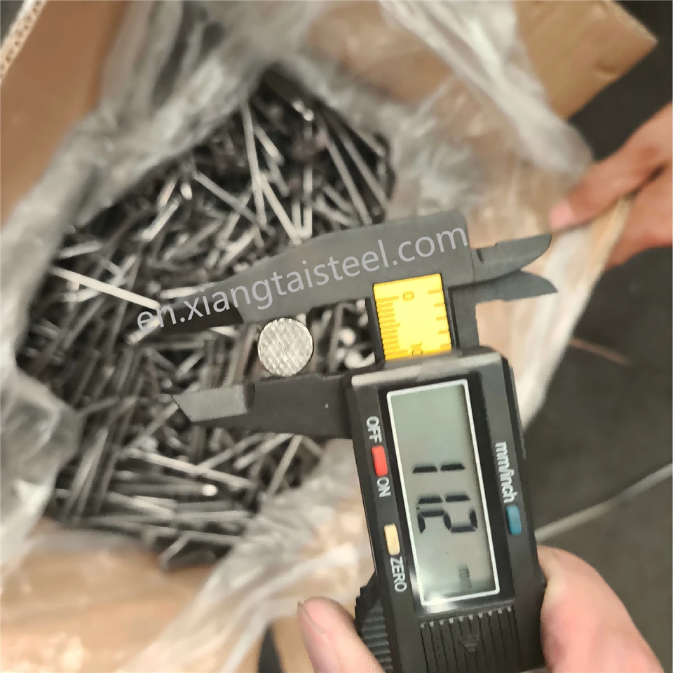 Common Galvanized Iron Masonry Cement Nails Spiral Shank Smooth And Diamond Point For Construction Packed in Cartons
